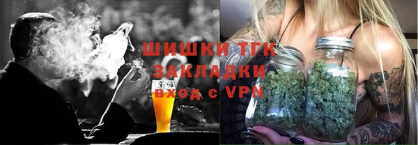 молекула духа Богданович