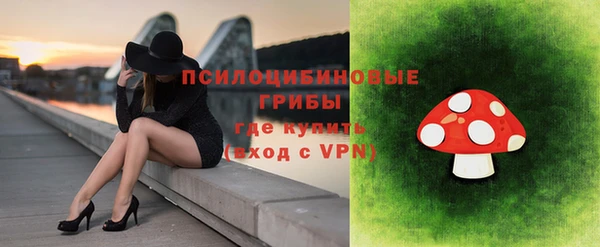 бошки Бугульма