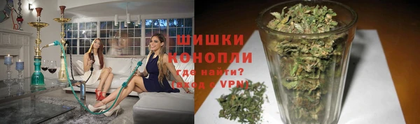 PSILOCYBIN Бронницы