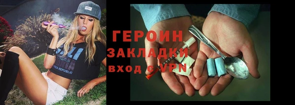 молекула духа Богданович
