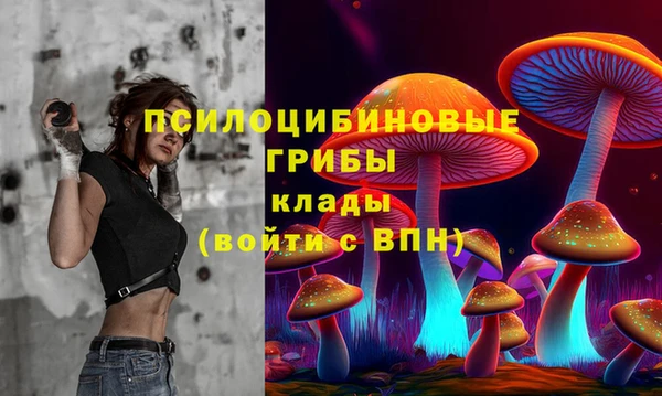 mdma Богородицк