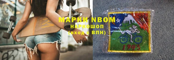 прущие грибы Аша