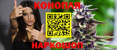 стаф Волгодонск