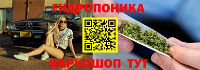 стаф Волгодонск