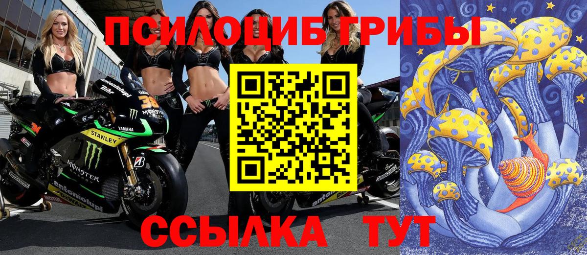Псилоцибиновые грибы Cubensis  Галлюциногенные грибы GOLDEN TEACHER  закладки  Вход с VPN  Великий Устюг 
