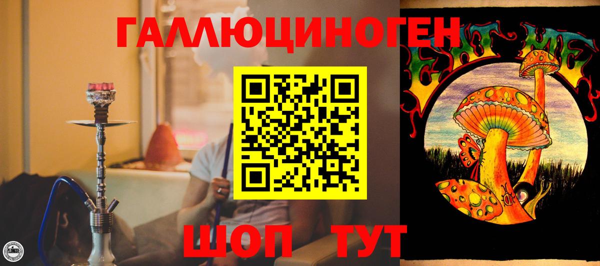 Псилоцибиновые грибы MAGIC MUSHROOMS Великий Устюг